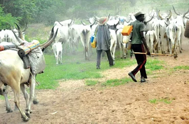 Herdsmen-Farmer Crisis – What is the real story?