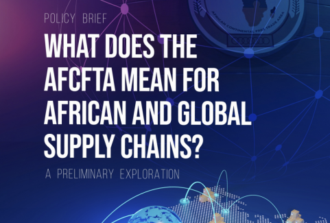 Policy Brief – What Does the AfCFTA Mean for African and Global Supply Chains?